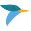 Tern logo