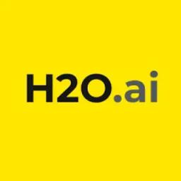 H2O AI logo