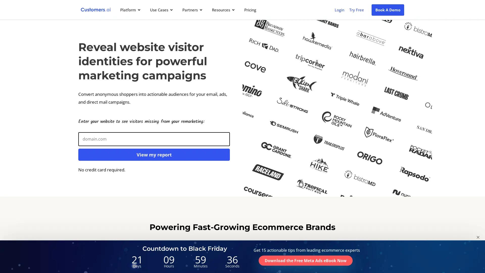 Customers AI Website Identity Pixel screenshot
