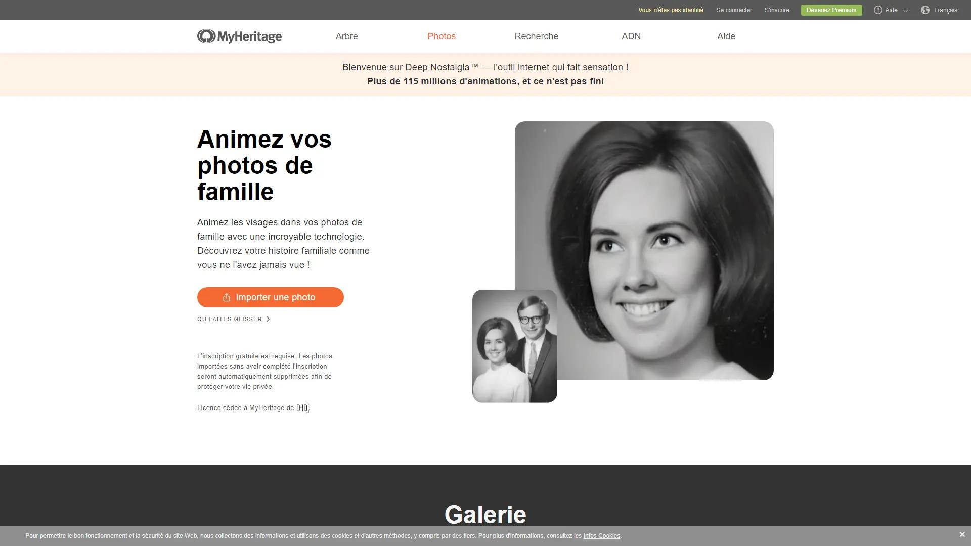 Deep Nostalgia screenshot